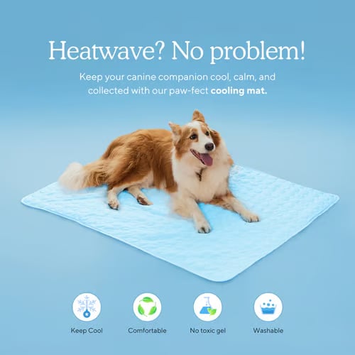 🔥Summer Hot Sale🧊Dog Cooling Mat (4x more effective)
