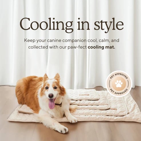 🔥Summer Hot Sale🧊Dog Cooling Mat (4x more effective)
