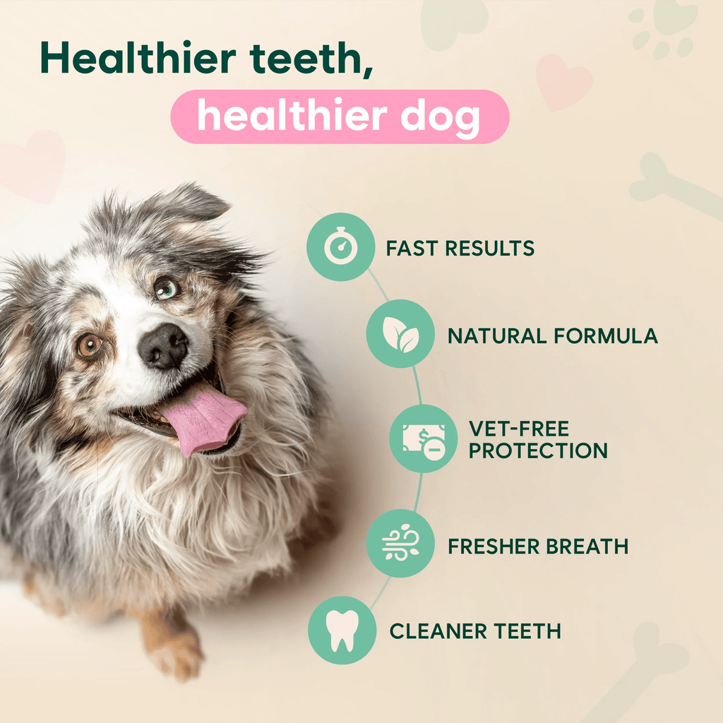 Dental Spray – Stop Bad Breath & Tartar at the Source