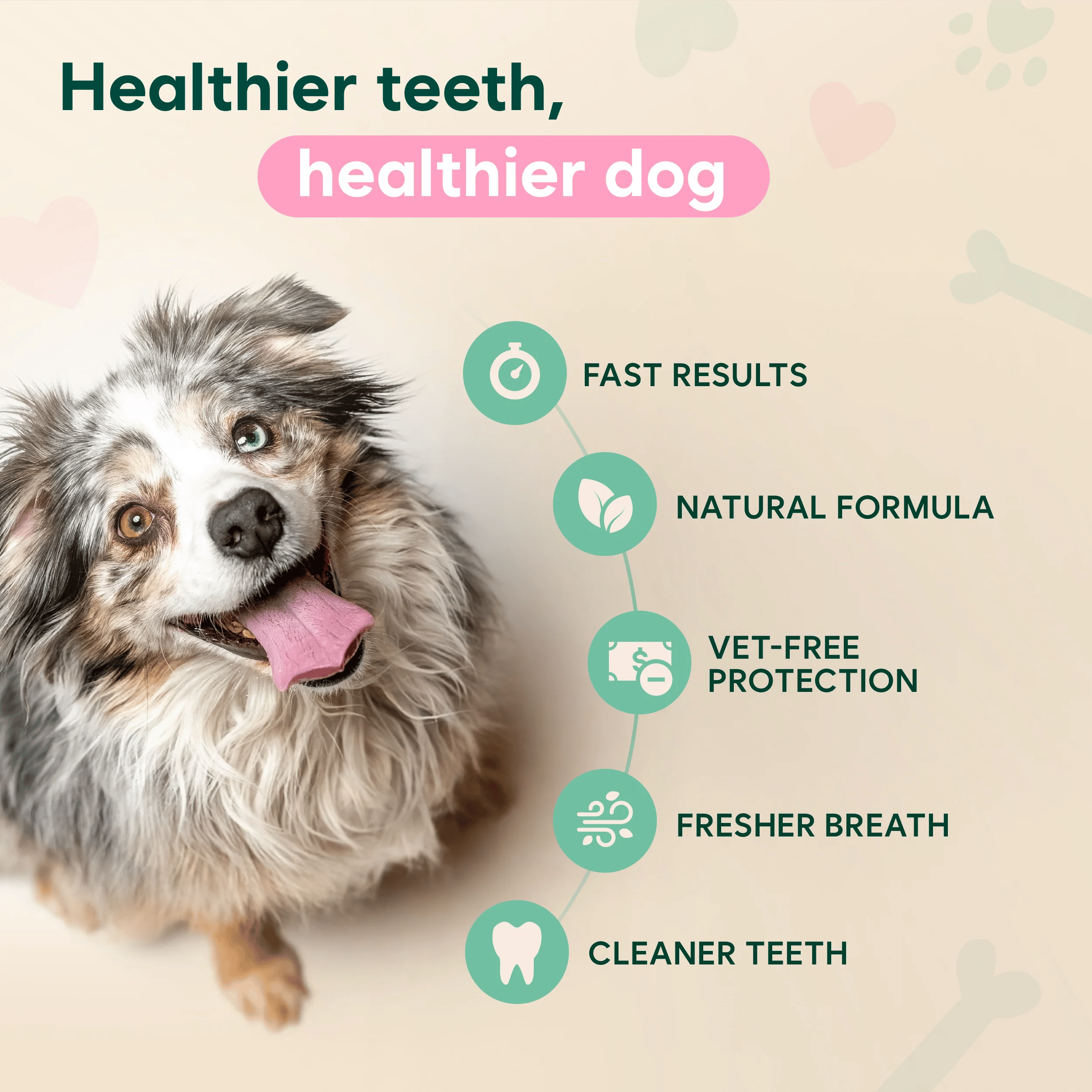 Dental Spray – Stop Bad Breath & Tartar at the Source