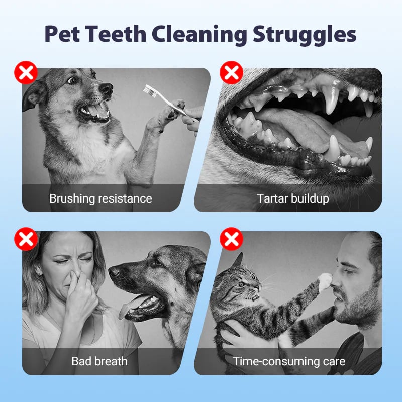 Dental Spray – Stop Bad Breath & Tartar at the Source