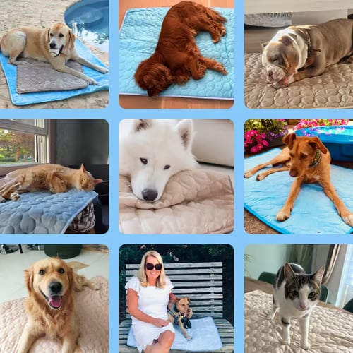🔥Summer Hot Sale🧊Dog Cooling Mat (4x more effective)