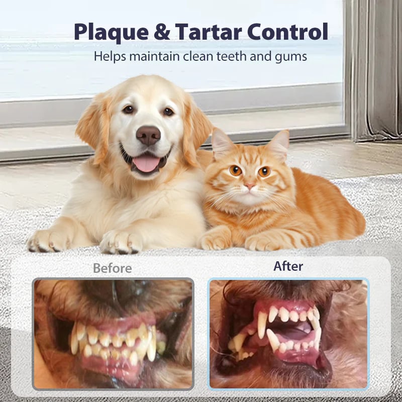 Dental Spray – Stop Bad Breath & Tartar at the Source